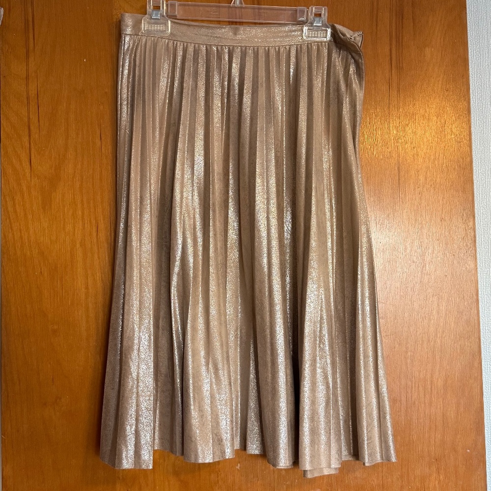Anthropologie Maeve Pleated Skirt